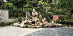 鲜花绿植 假山 鱼池 过滤仿真造景，花园庭院，喷泉造雾